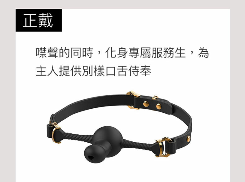 雙向陽具口球