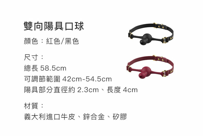 雙向陽具口球