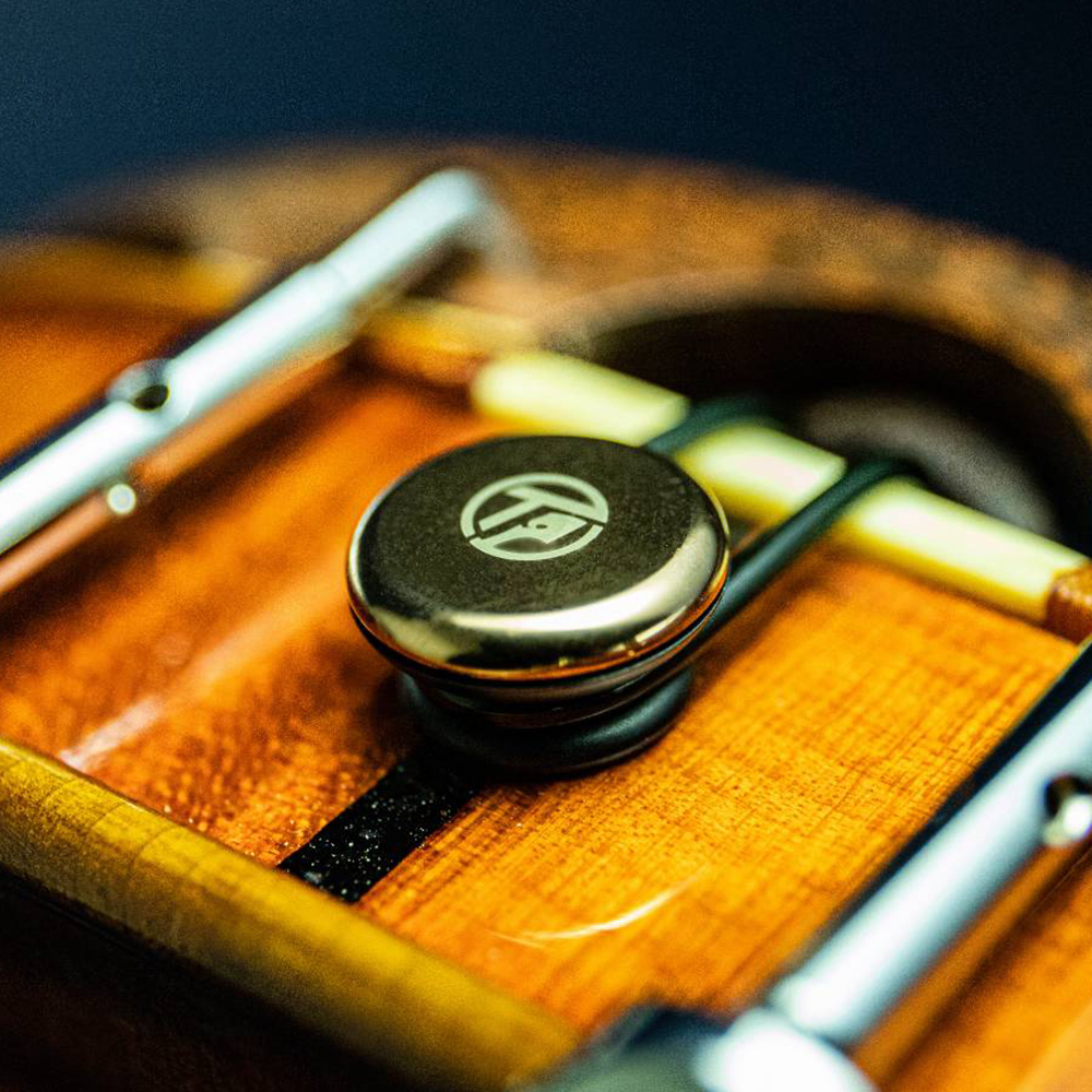 台灣Typhoon 提丰小號角