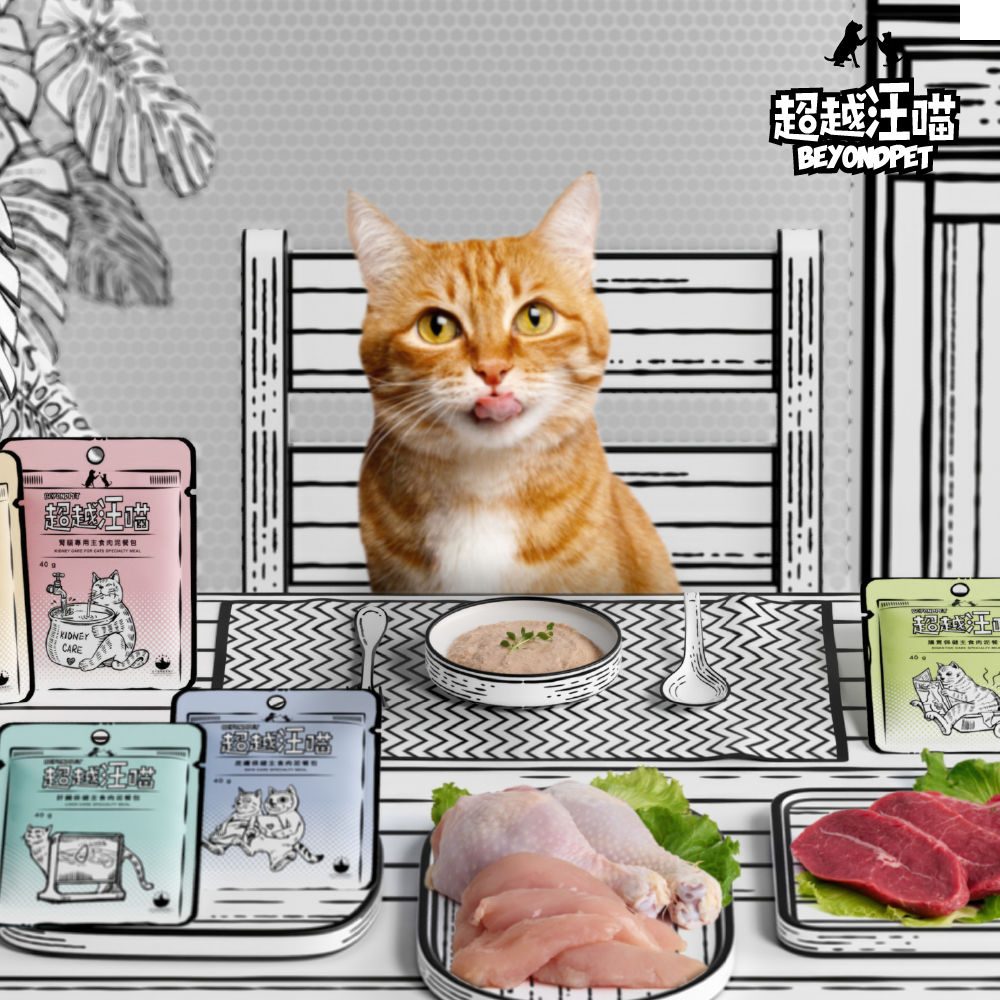 超越汪喵｜貓用保健主食餐包 40g