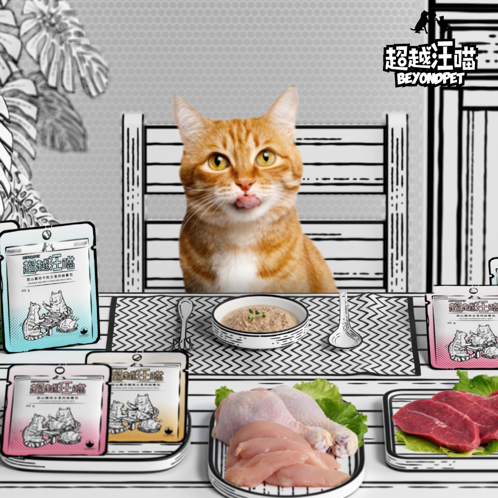 超越汪喵｜貓用肉絲主食餐包 40g