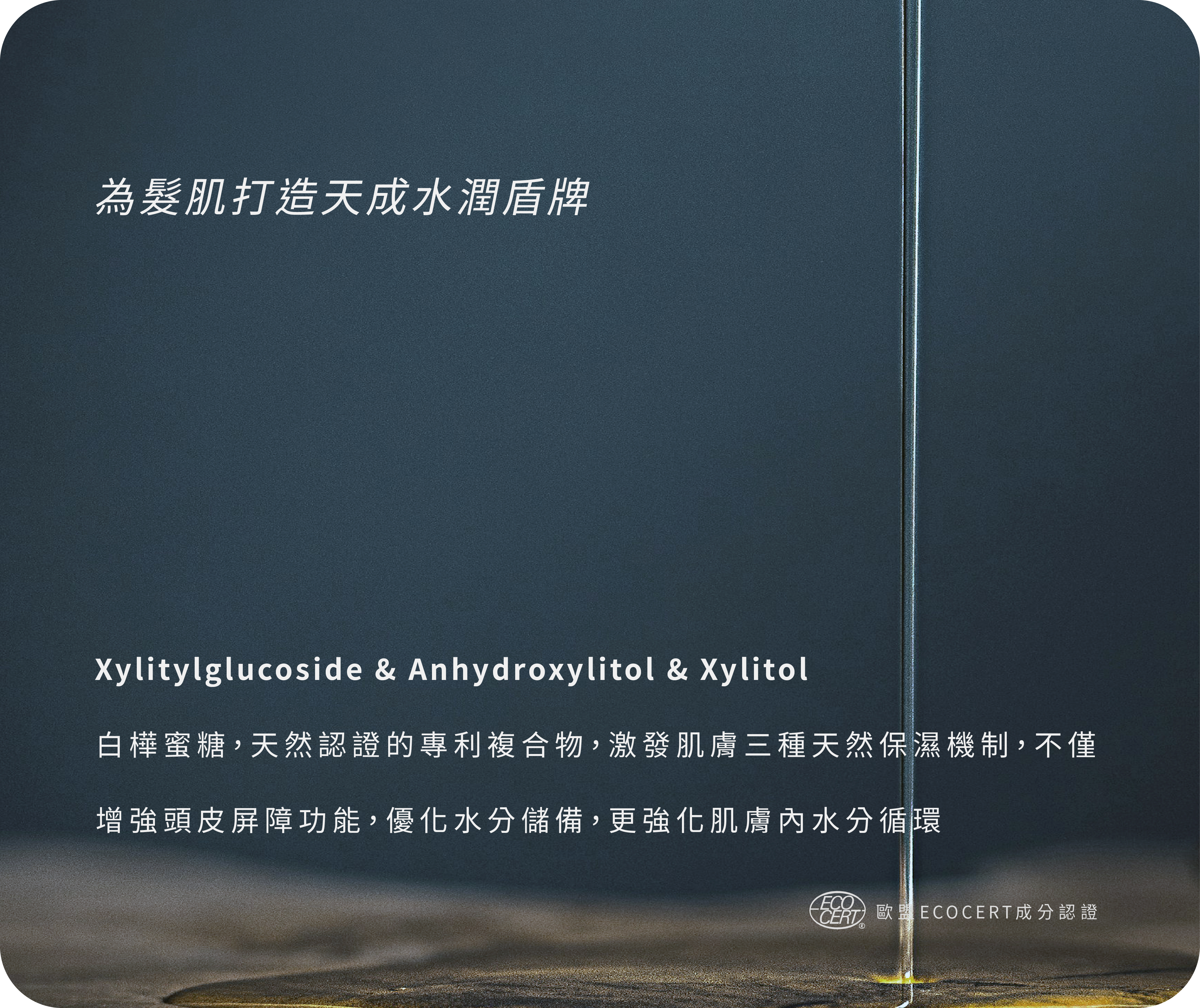 為髮肌打造天成水潤盾牌