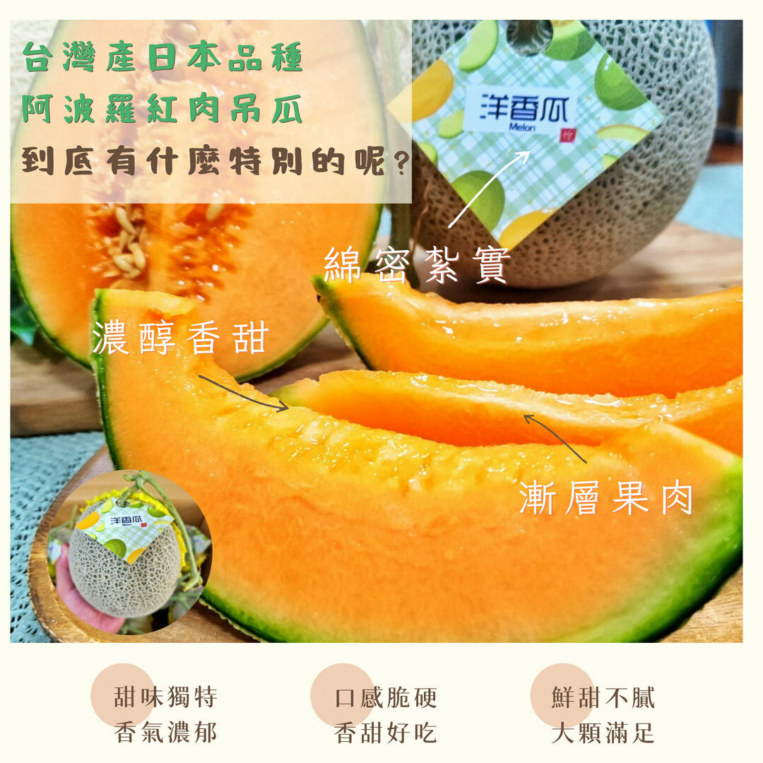 台灣產日本新品種｜紅肉阿波羅吊瓜｜爽脆多汁