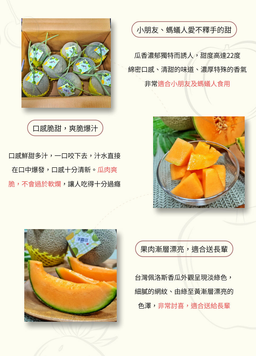 台灣產日本新品種｜紅肉阿波羅吊瓜｜爽脆多汁