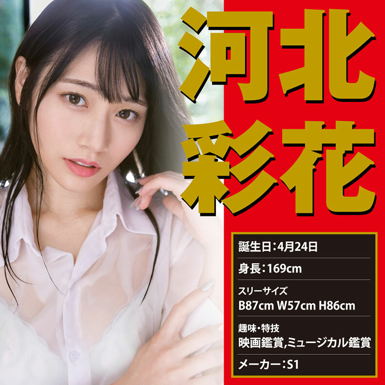 EXE｜JAPANESE REAL HOLE 激 河北彩花｜飛機杯