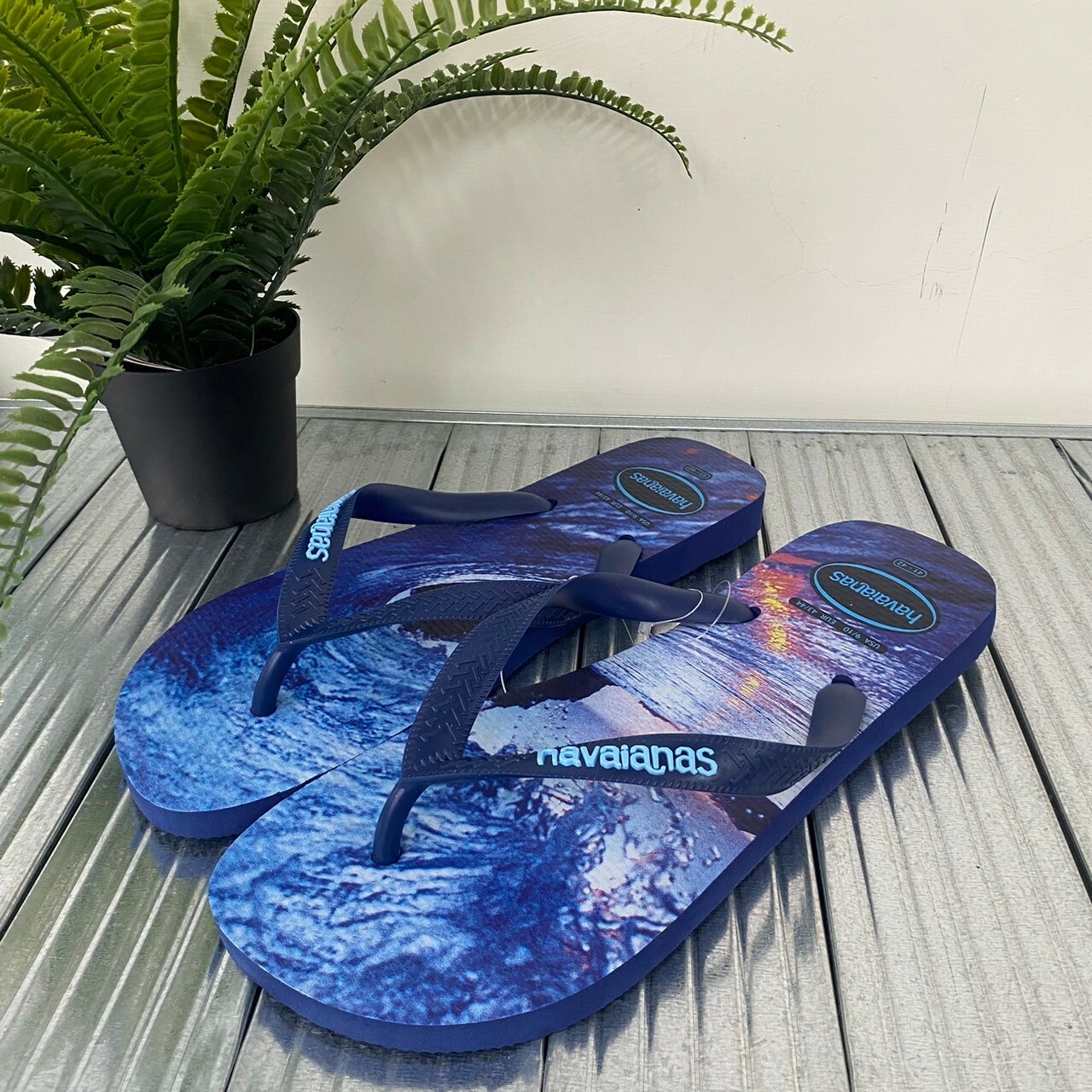 Havaianas 哈瓦仕 拖鞋 夾腳拖 男鞋 深海日落 深藍 4127920-6195M