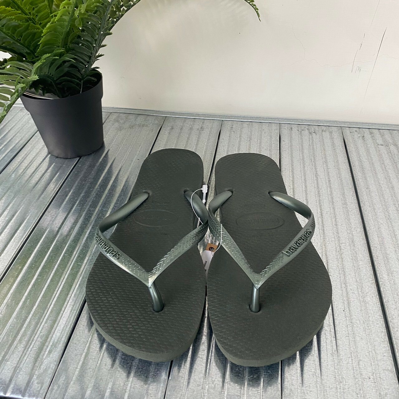 Havaianas 哈瓦仕 拖鞋 夾腳拖 細帶 女鞋 墨綠 4000030-4896W