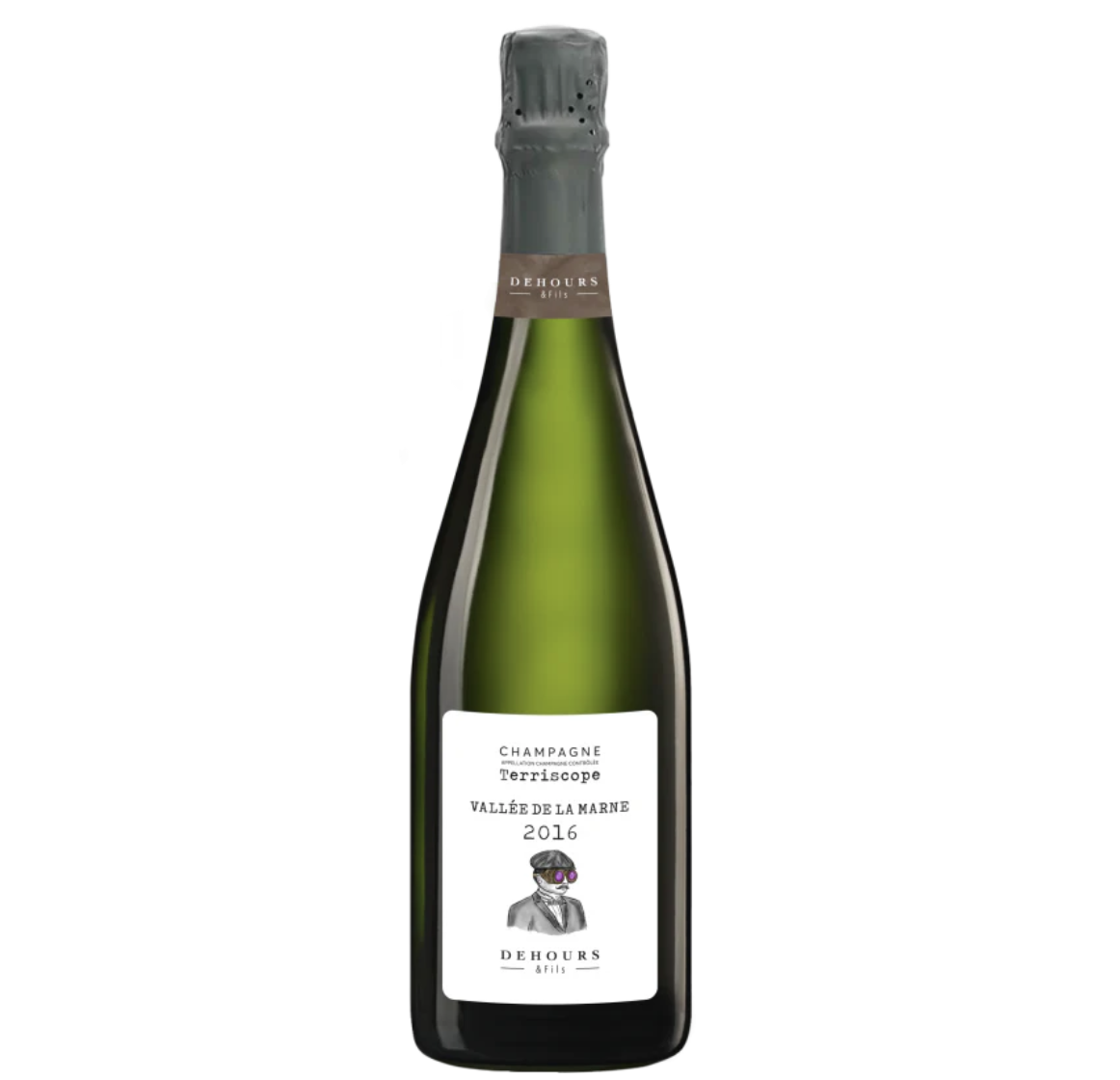 Dehours & Fils Champagne Extra Brut Terriscope 2016