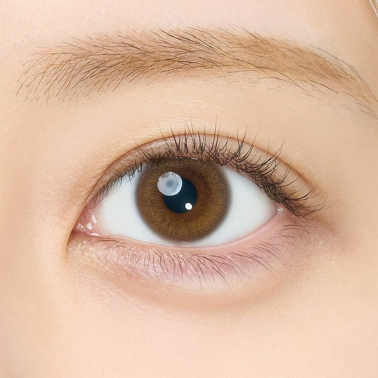 [日拋] EYECICLE 1 Day Polaris 每日拋棄彩妝隱形眼鏡｜每盒10片