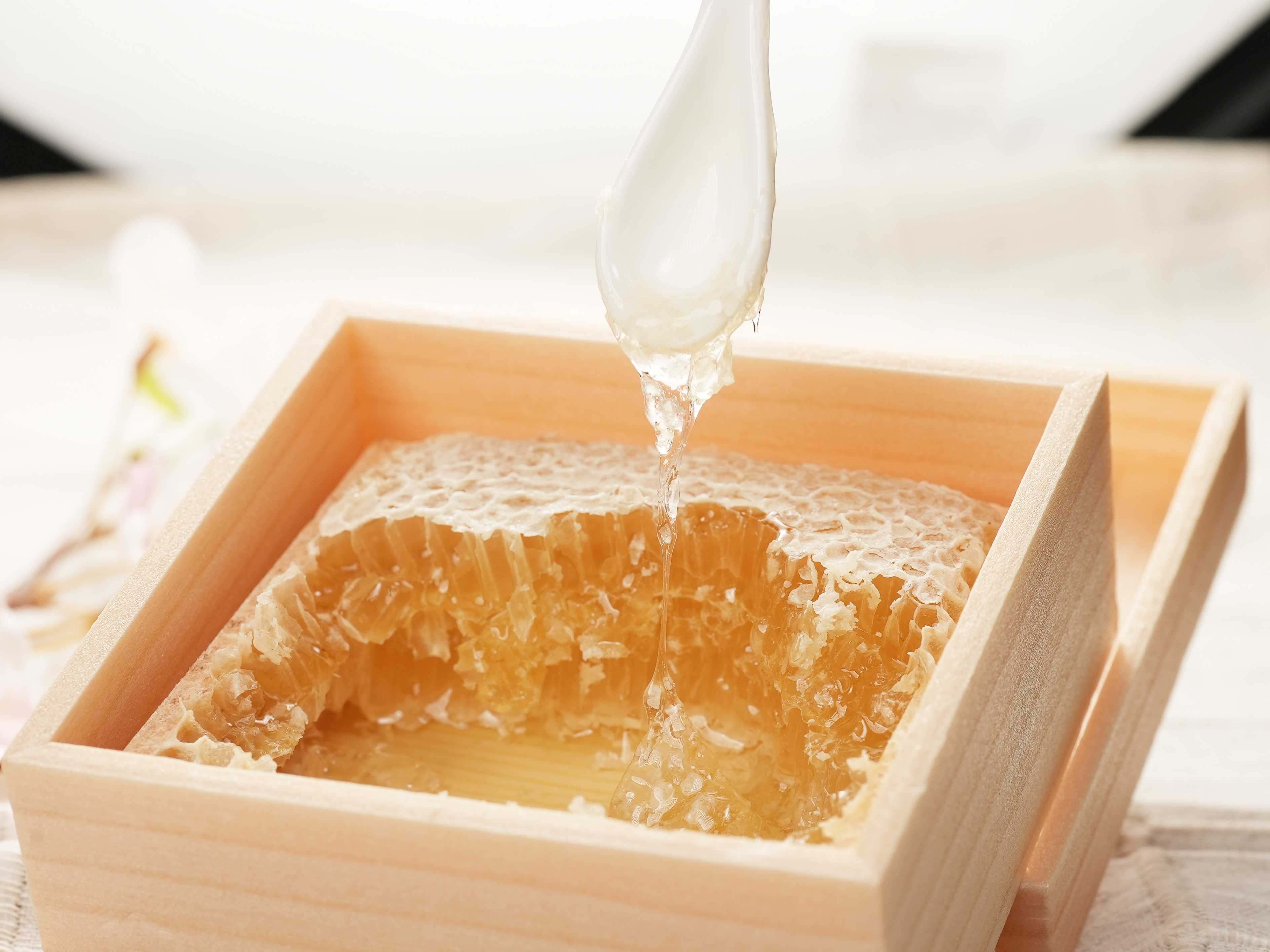 【年節限定優惠】九州蜂之子本舖-日本蜂巢蜜