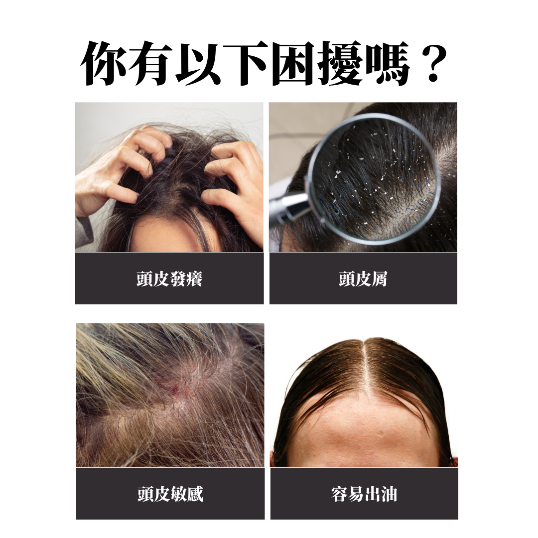 PARK6 Tea Seed Plant Shampoo