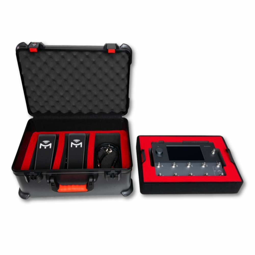 【1-2】[GatorCases] ATA軍用聚乙烯硬盒XL 數位效果器盒 TSA海關鎖 #GTSA-QCXL