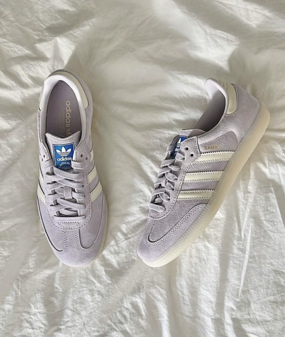 Adidas SAMBA OG 限定 香芋紫