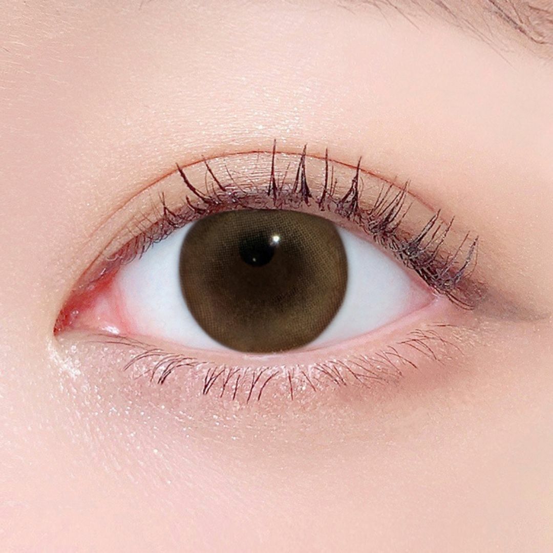 [日拋] Lenstown 247 BB Honey Brown 1 Day 日拋隱形眼鏡｜每盒10片