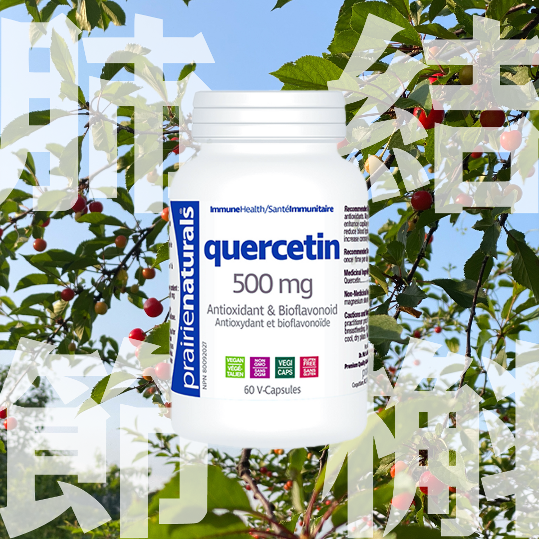 肺結節槲皮素 60粒