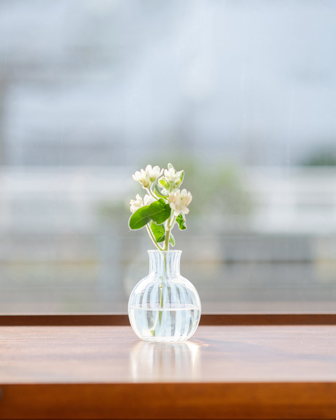 Taisho Roman Glass Single Flower Vase Tokusa｜Hirota Glass