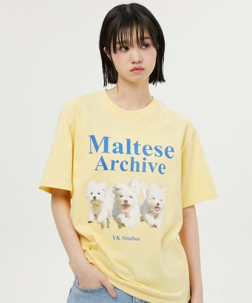 ★WAIKEI★ Maltese Archive Short Sleeve T-Shirt Melange Whit IMG_8139-569x800.jpg