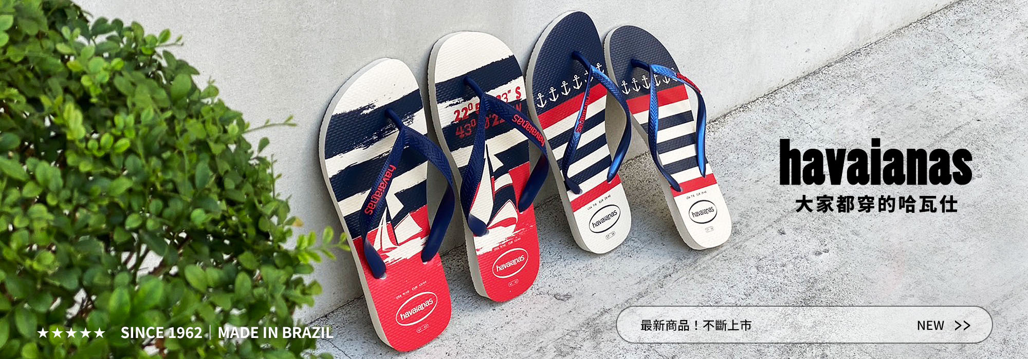 havaianas 巴西哈瓦仕人字拖專頁