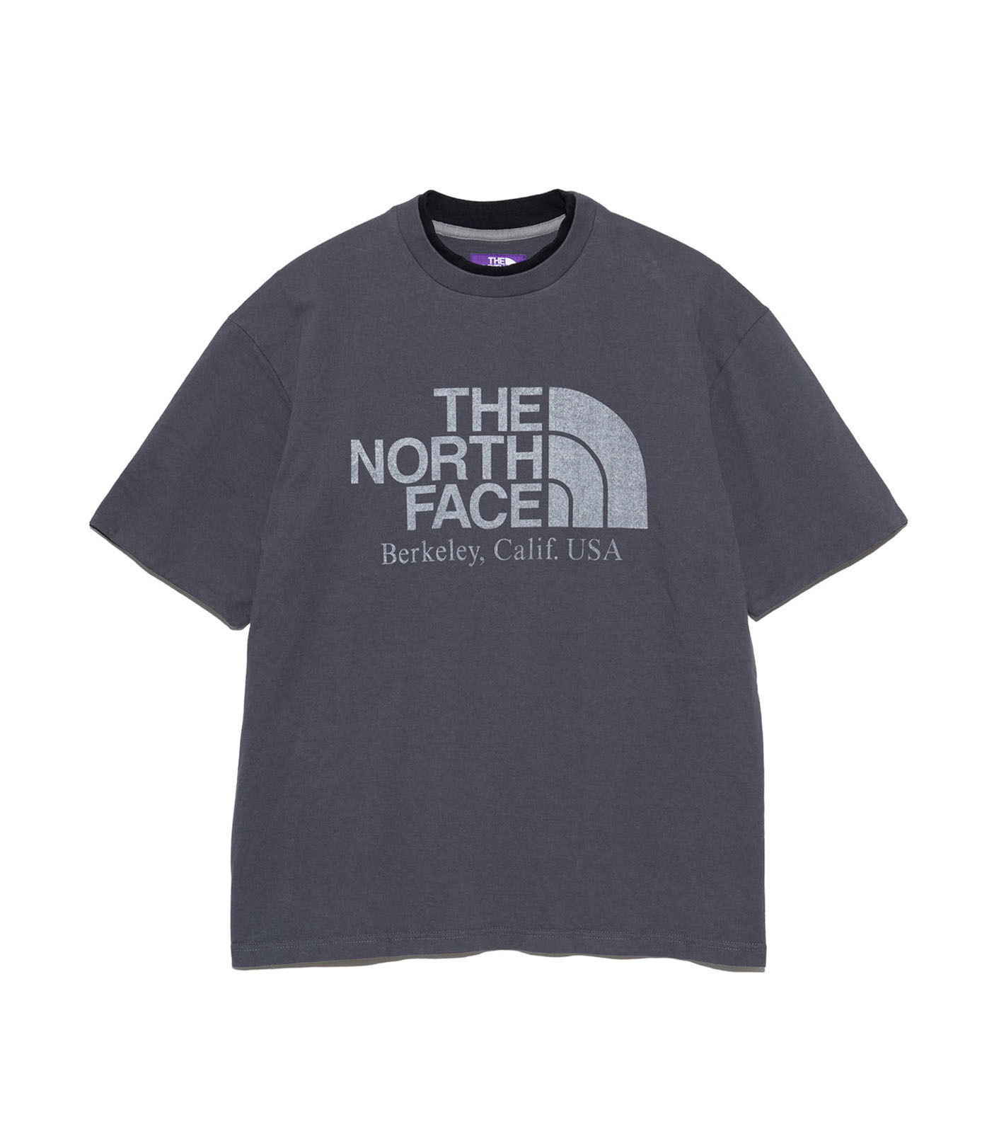 【代購】THE NORTH FACE  北臉紫標 做舊大LOGO上衣  NT3412N