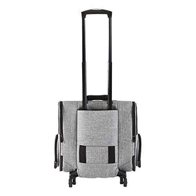 日本AirBuggy Fitt 高級輕量寵物手拉車 - 黑色 Earth Black