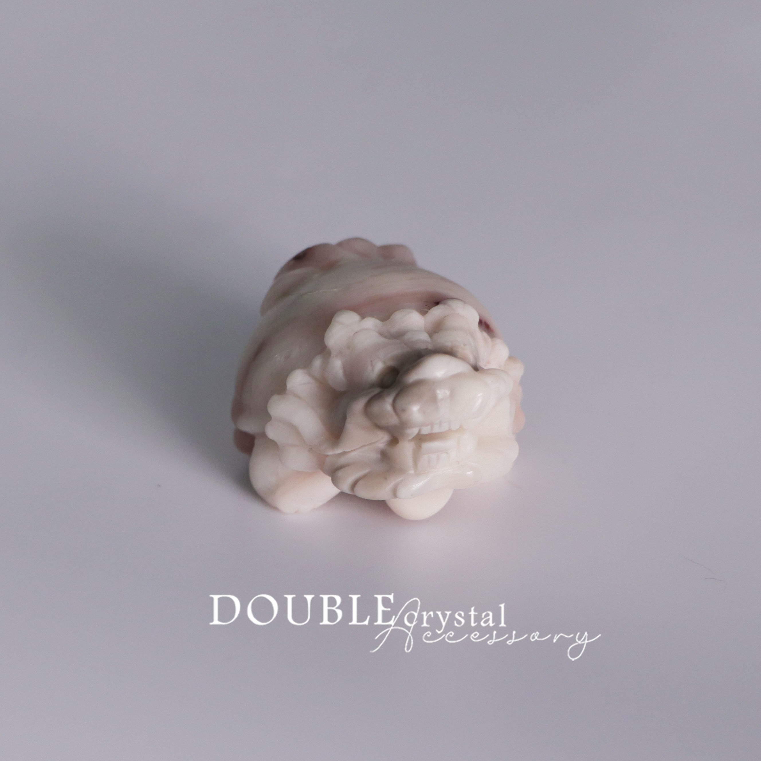 稀有粉色阿拉善龍龜