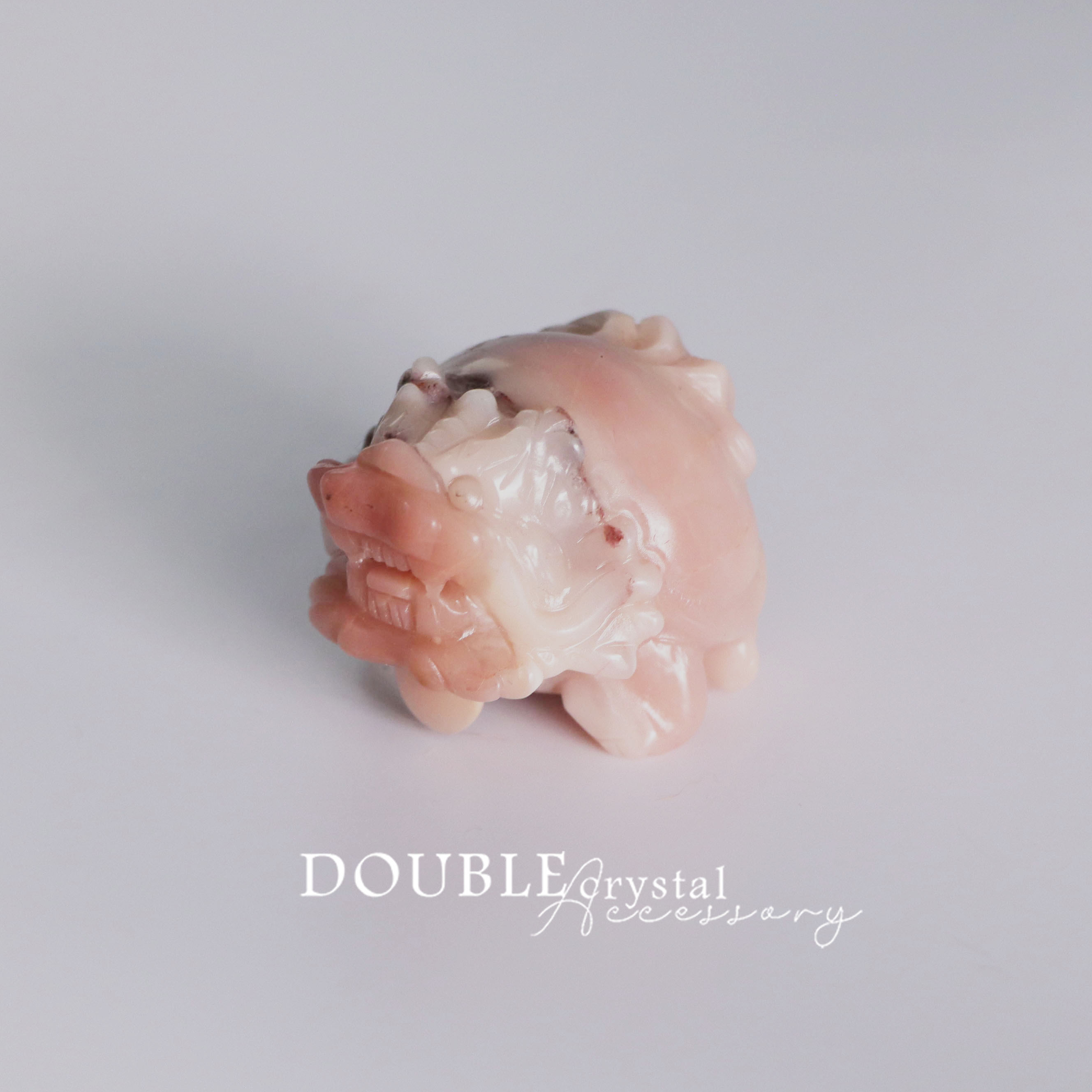 稀有粉色阿拉善龍龜