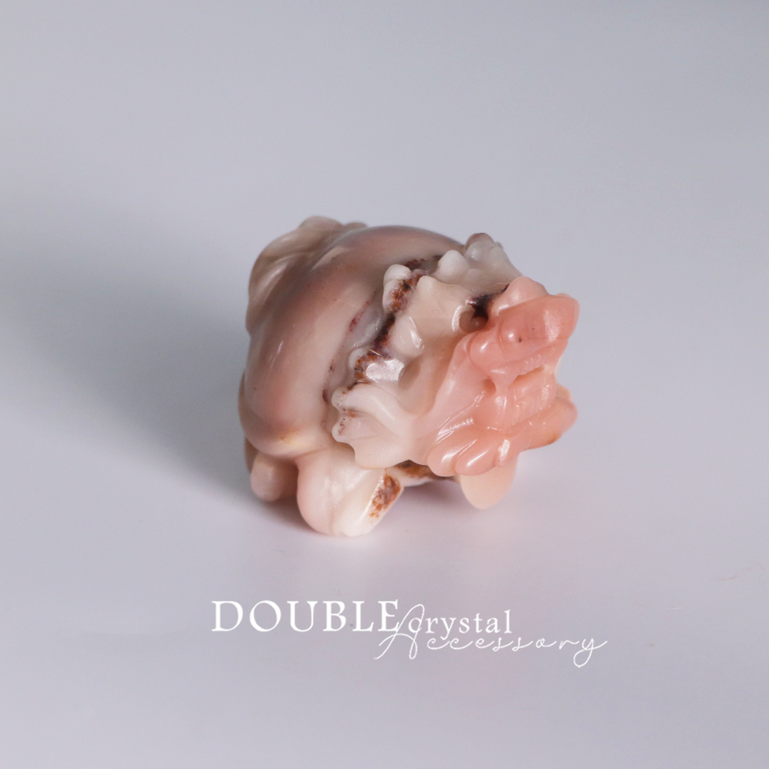 稀有粉色阿拉善龍龜