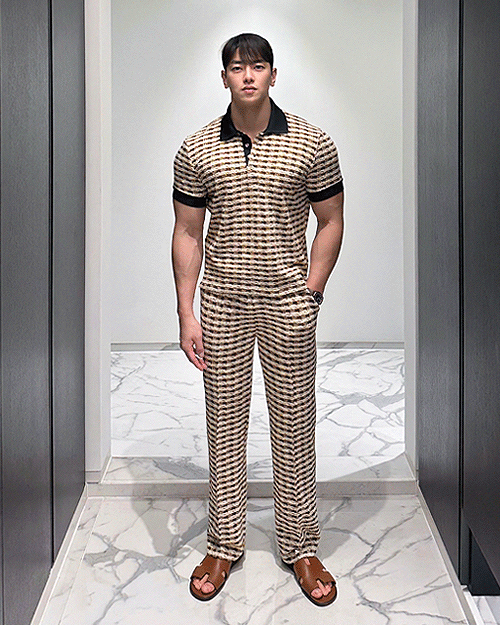 魅力粗花呢領子短袖T恤