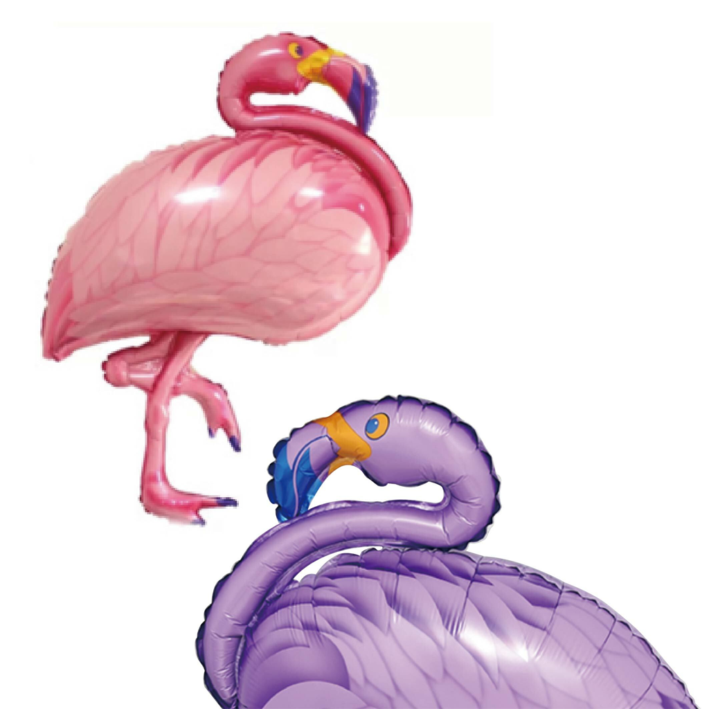 動物單品丨火鶴