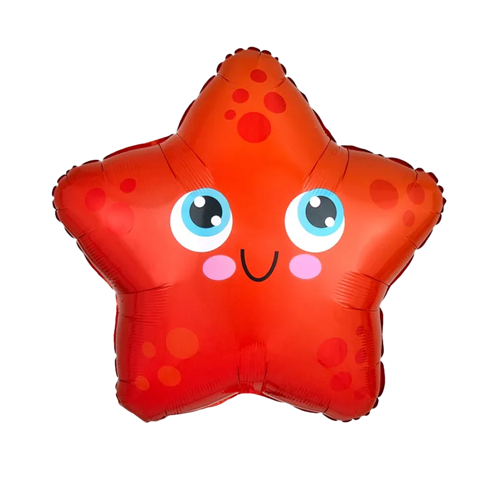 動物單品丨小海星