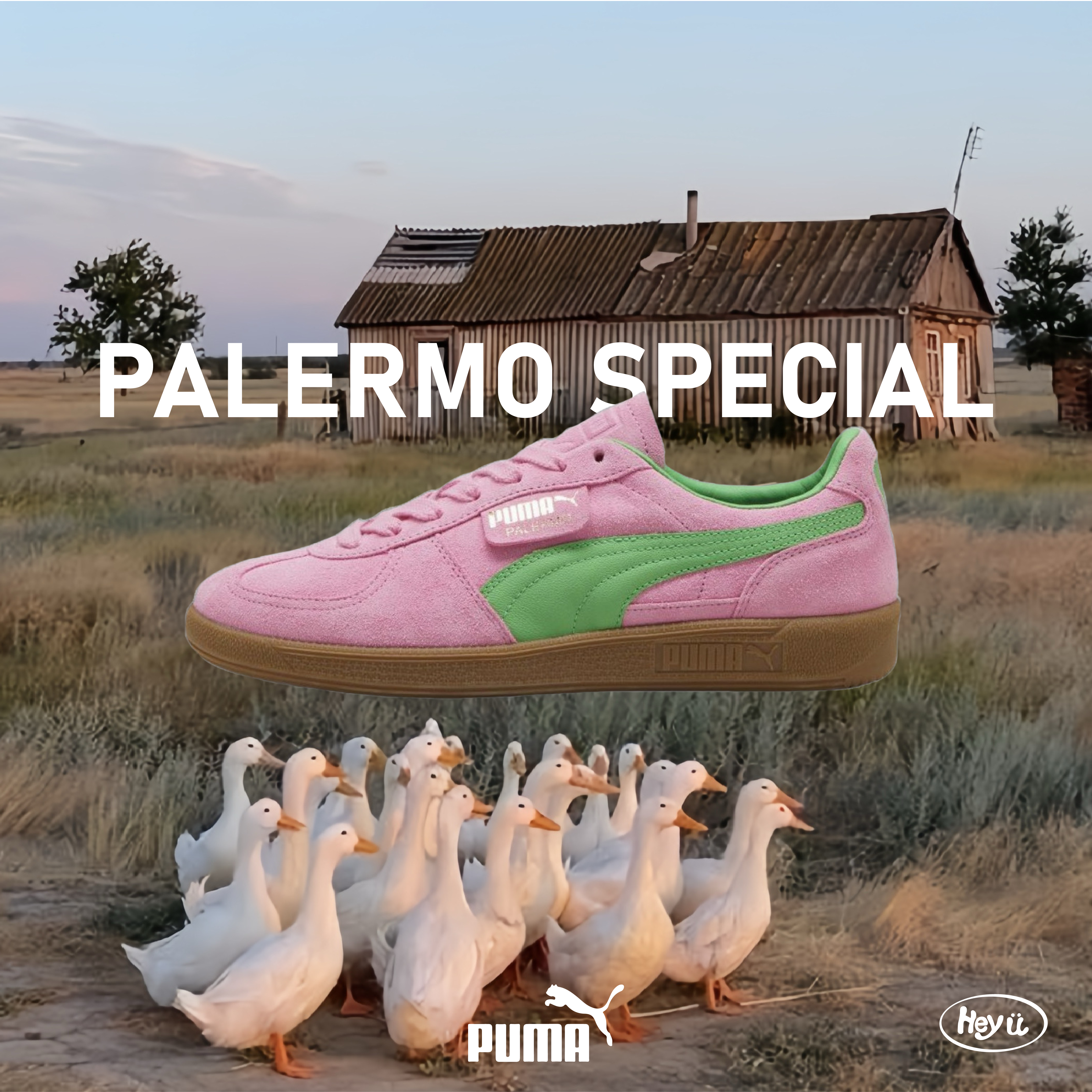 <IVE同款> PUMA Palermo Special (粉綠)
