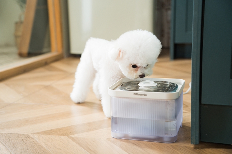 樂信 AQUA-GUSH 寵物飲水器