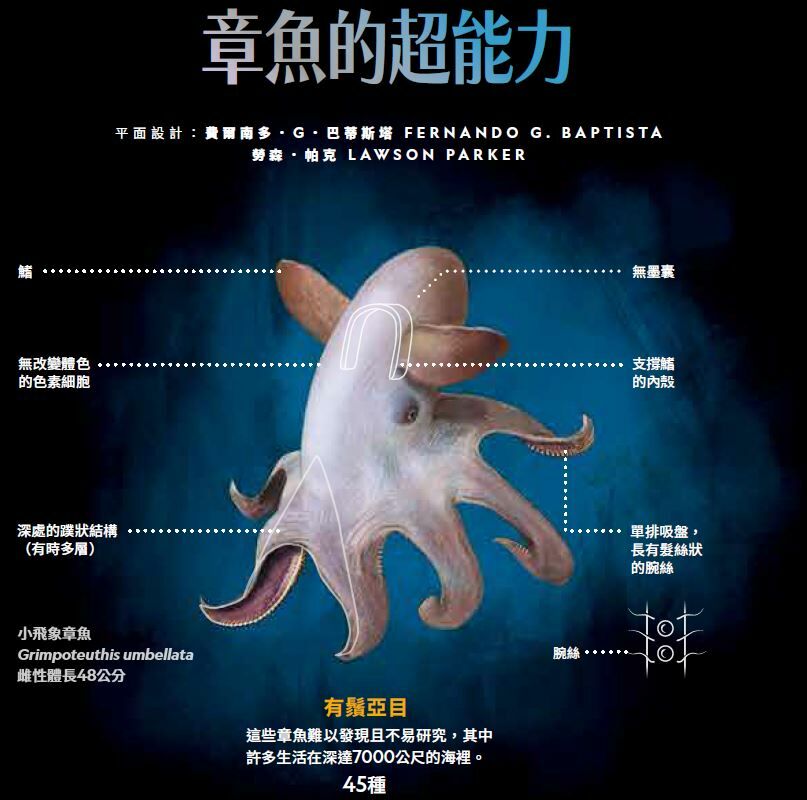 《國家地理》雜誌270期2024年5月號：章魚的祕密