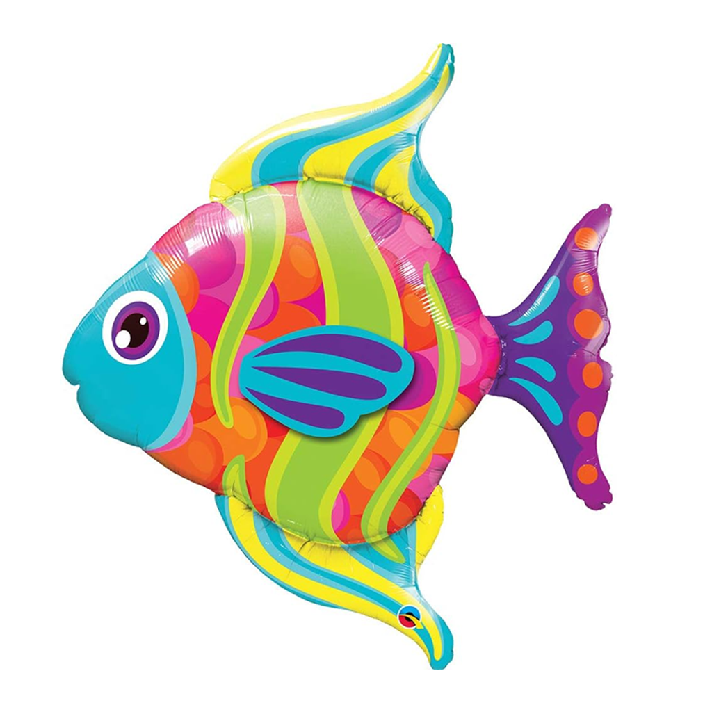 動物單品丨時尚魚