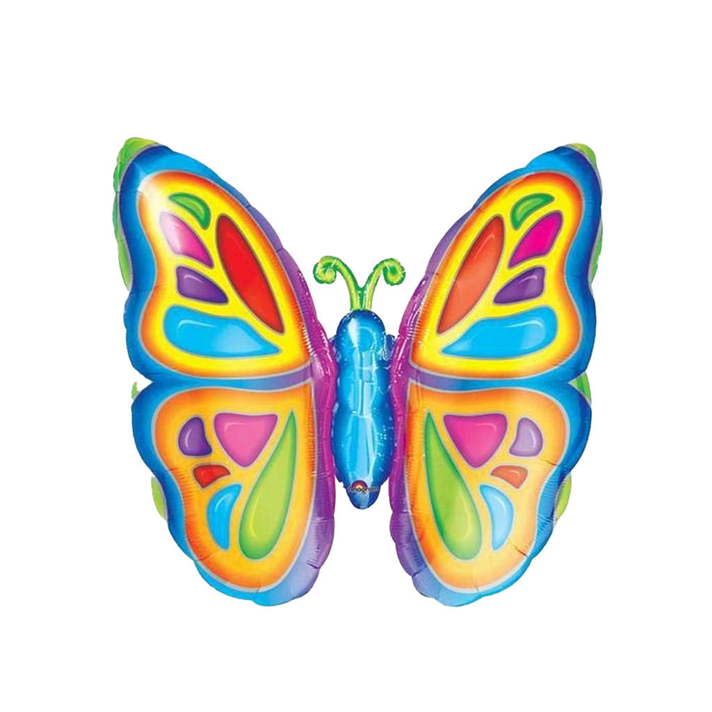 動物單品丨亮麗彩蝶