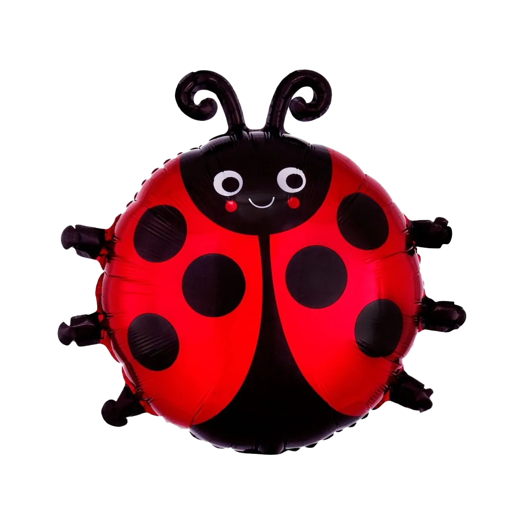 動物單品丨可愛瓢蟲