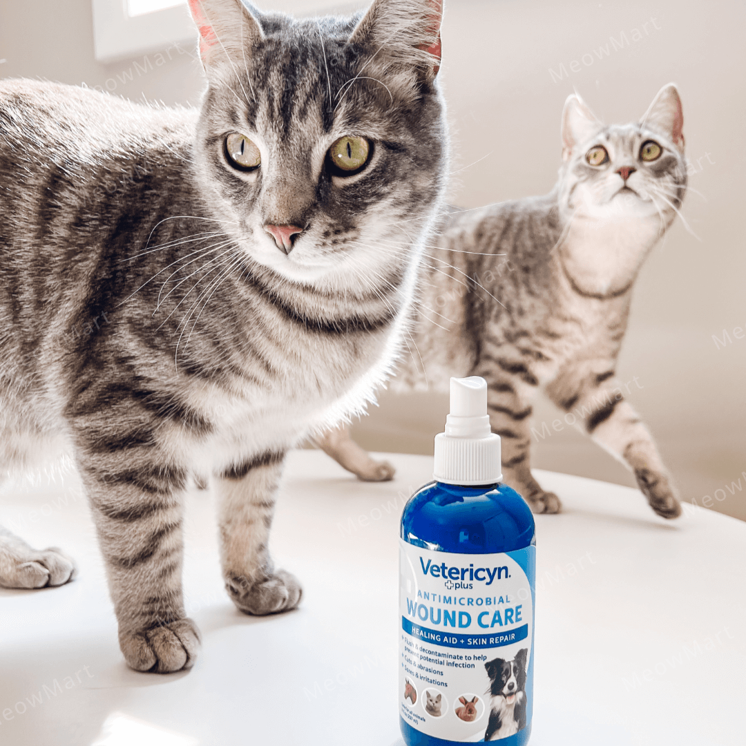 Vetericyn Plus® 維特寵物神仙水