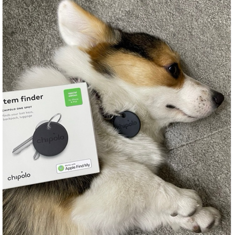 Chipolo｜Chipolo POP安卓兼容版/ONE SPOT 藍芽防丟器  寵物防丟器 防走失