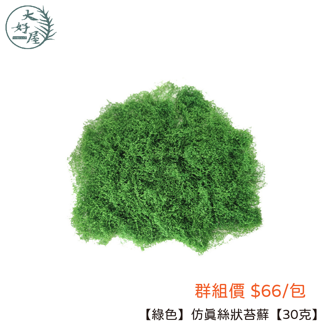 仿真苔蘚草皮類