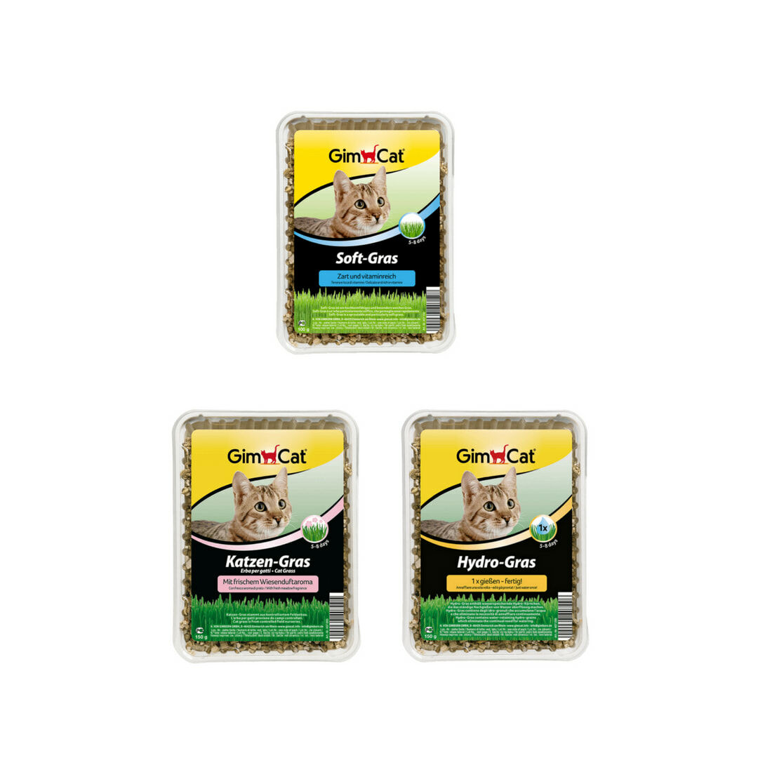 GIMBORN 德國竣寶 貓草系列 #貓草