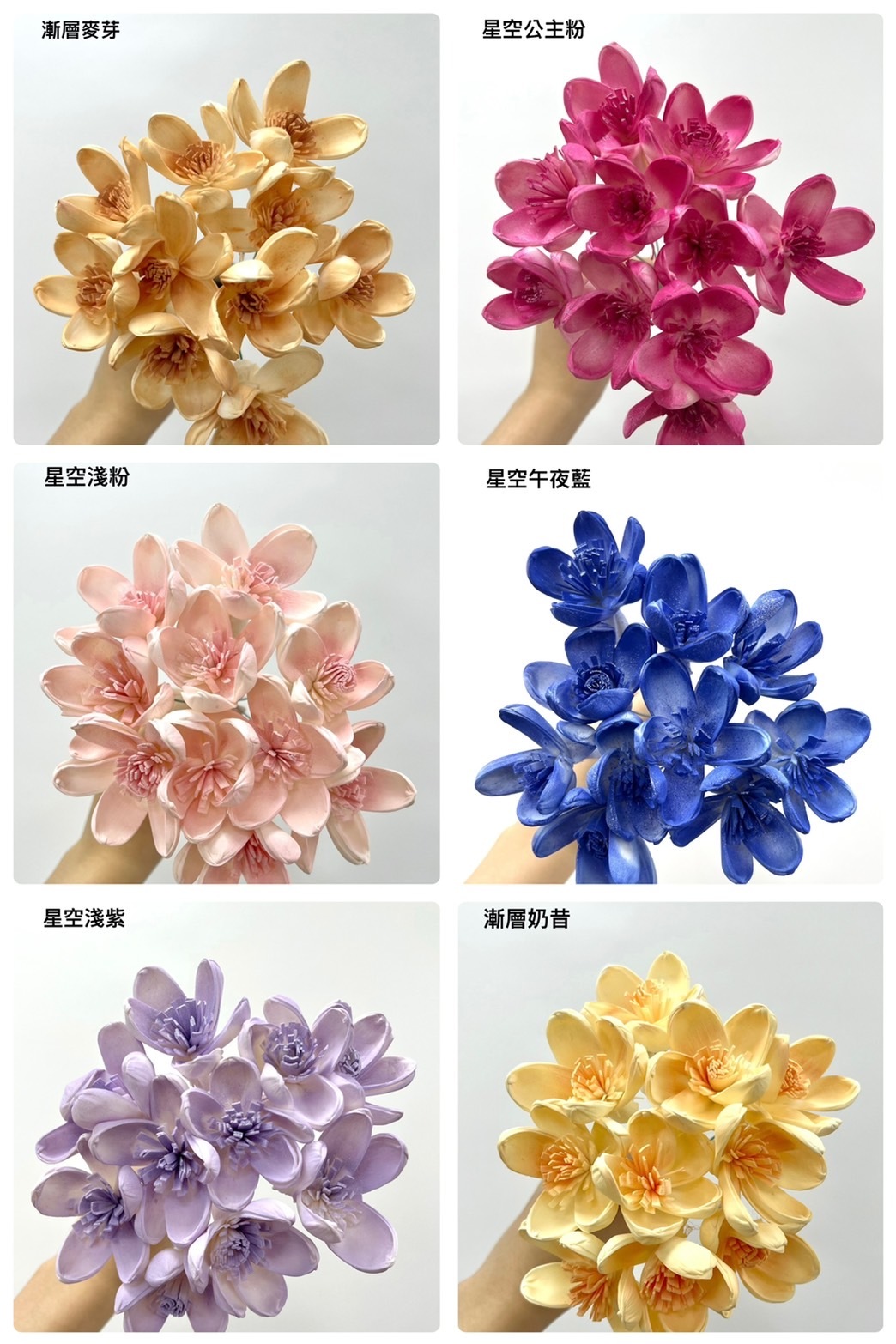 泰國索拉花 迷你蓮花(白心) 3CM <十支一把> (高品質)