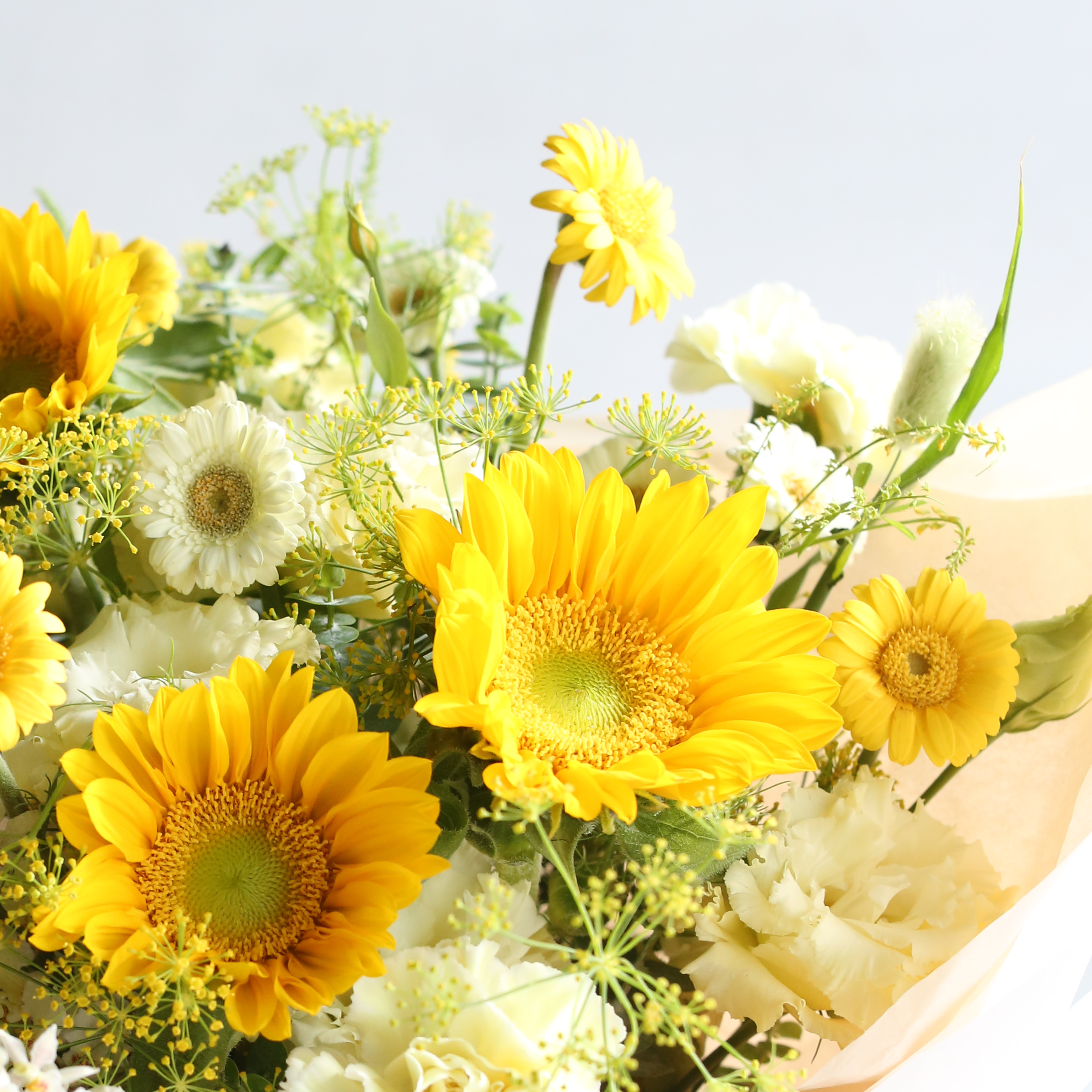 波卡 - 畢業花束