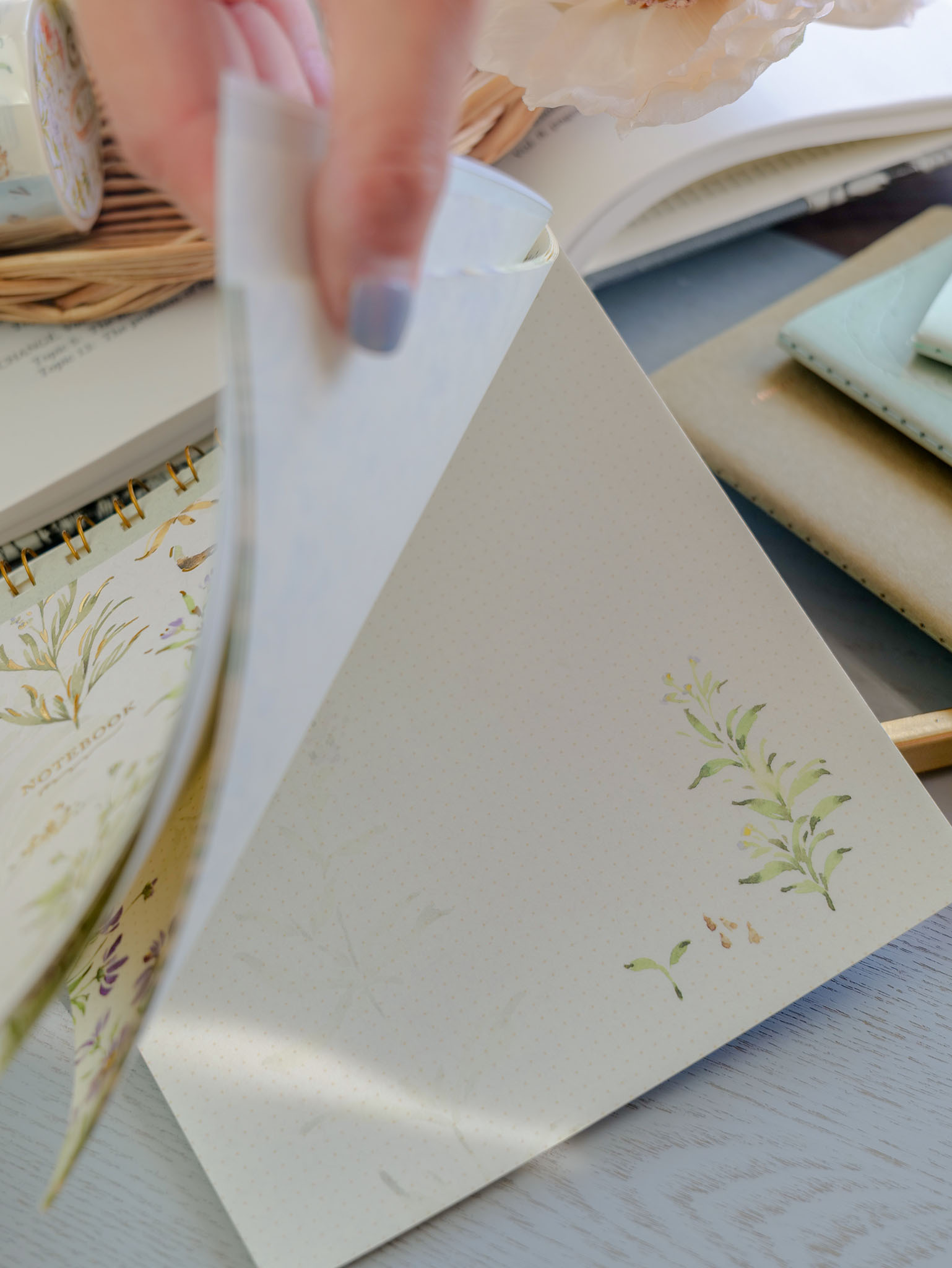 Meow Illustration．花的顏色線圈筆記本 翡翠