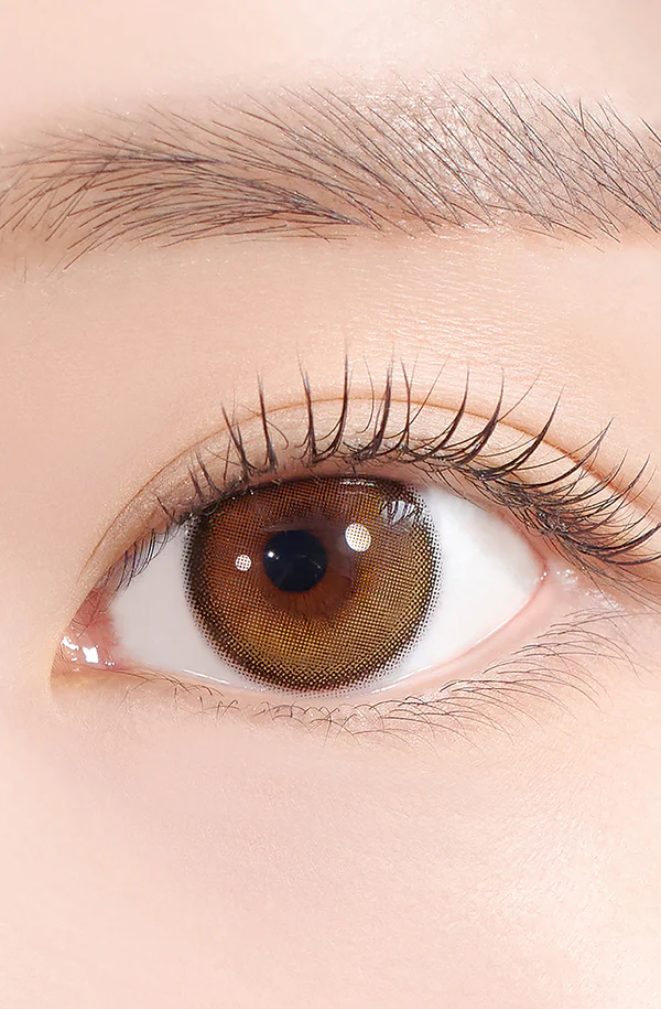 [日拋] Hapa Kristin 1 Day Secretive Kristin Antique Brown 古典金棕 日拋彩妝隱形眼鏡｜每盒10片