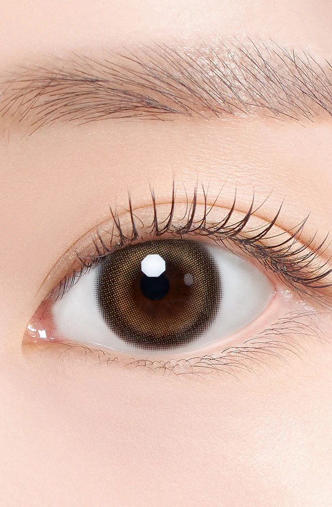 [日拋] Hapa Kristin Dear Deer Kristin 1Day - 斑比棕 Bam Brown  彩妝隱形眼鏡 |每盒10片