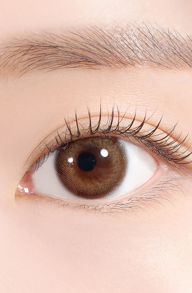 [日拋] Hapa Kristin Adorable Kristin Brown日拋 |每盒10片