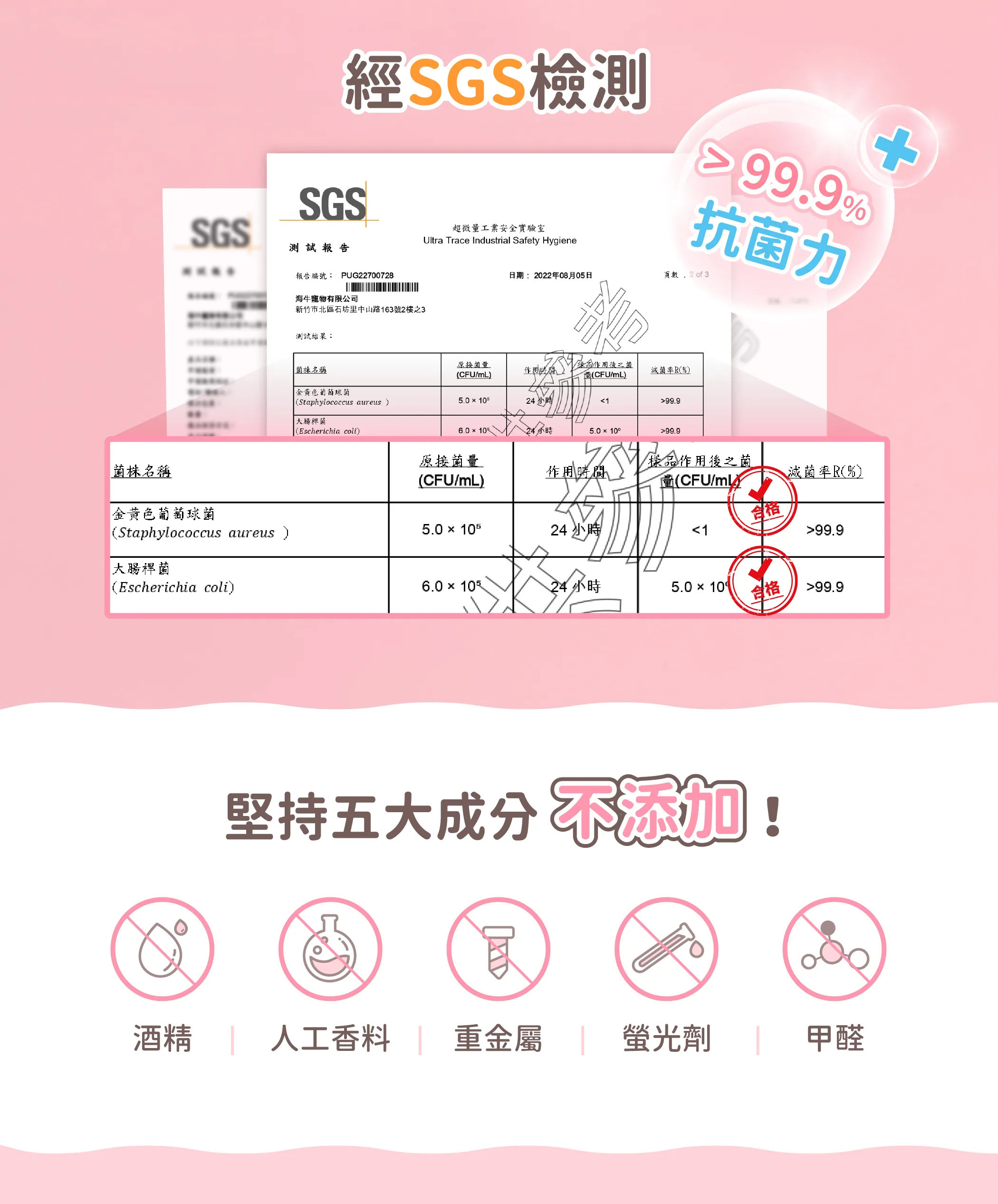 超凝小姐｜超強效貓廁清潔慕斯 300ml