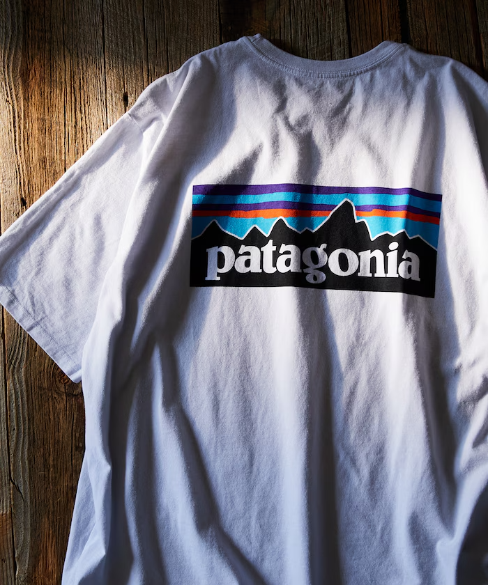 日本 PATAGONIA P6 短袖