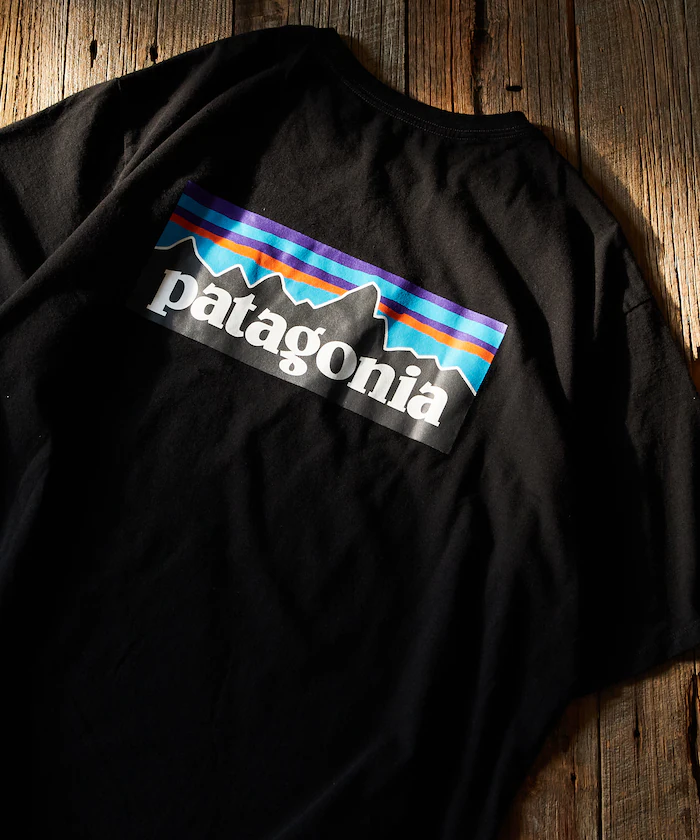 日本 PATAGONIA P6 短袖