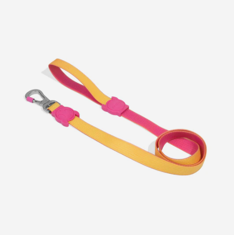 Zee dog leash - NEOPRO LYRA